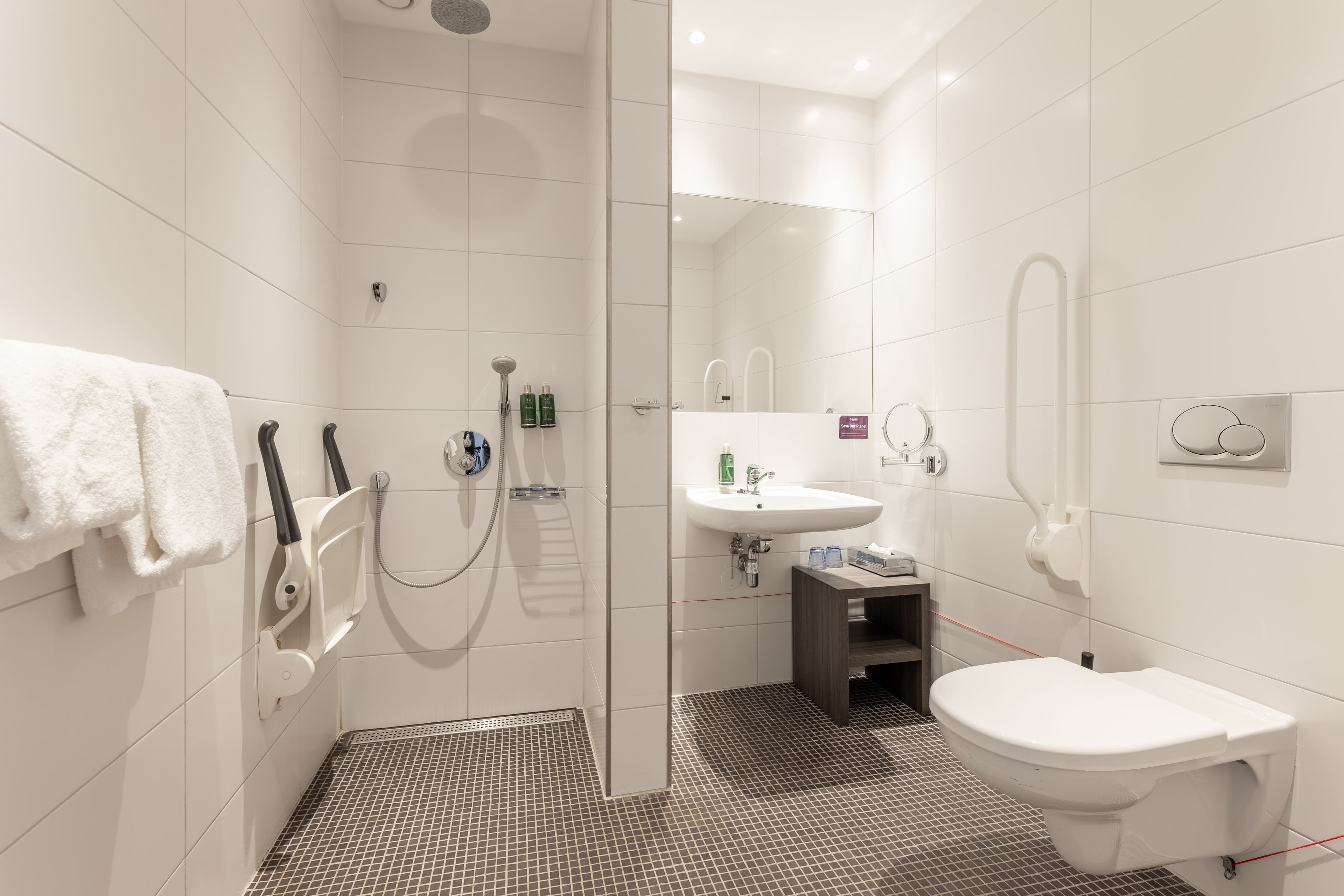 Disabled twin - Badkamer.jpg