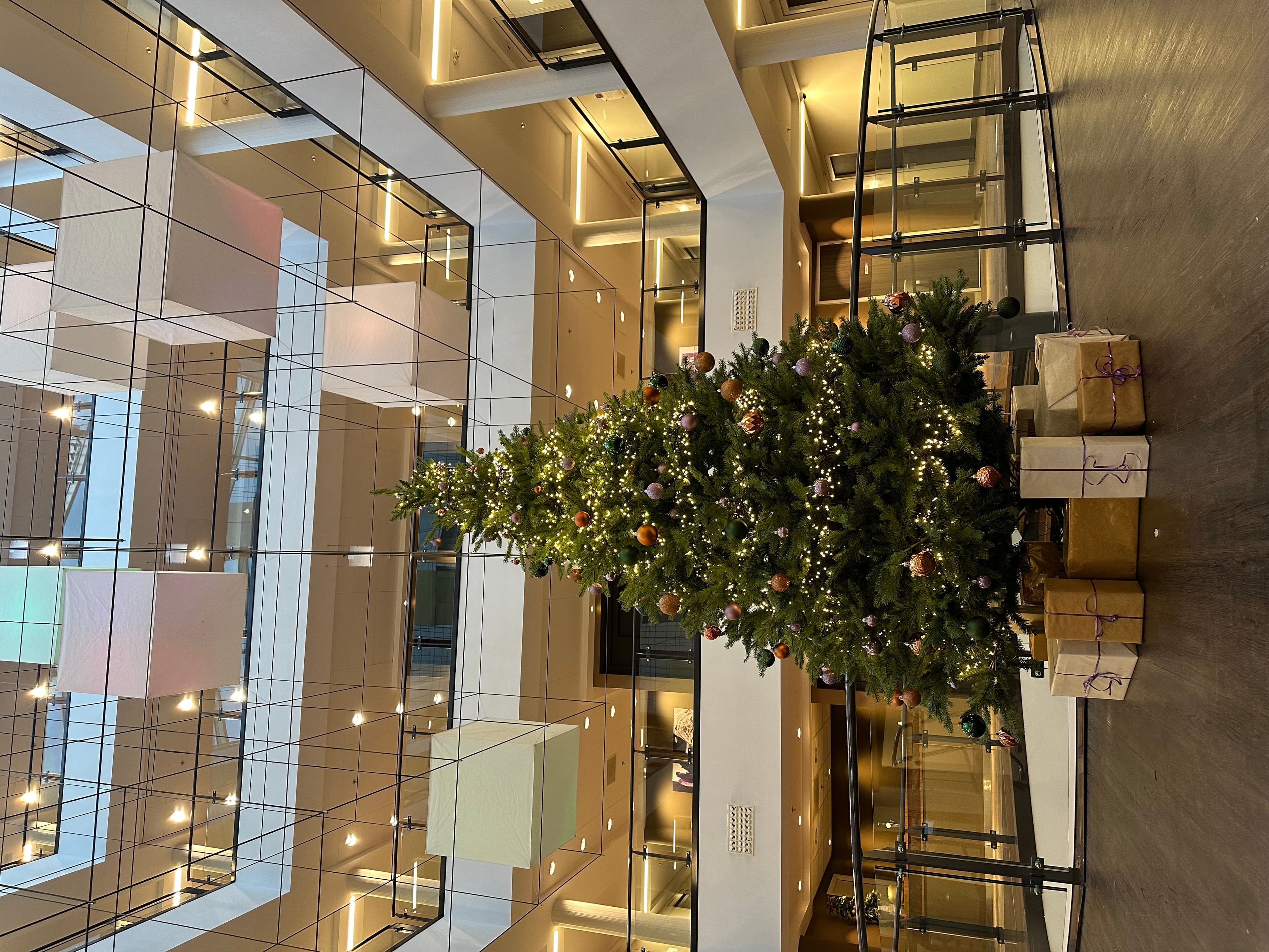 Foto 07-12-2023 14 50 41.jpg