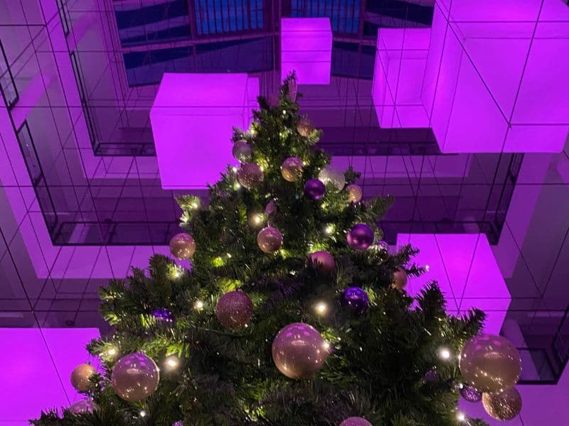 Kerstboom.jpg
